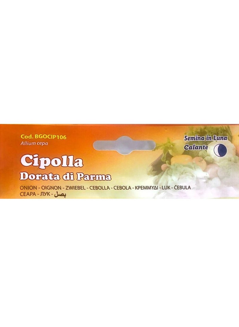 Buona Luna Onion Seeds  - Image 3