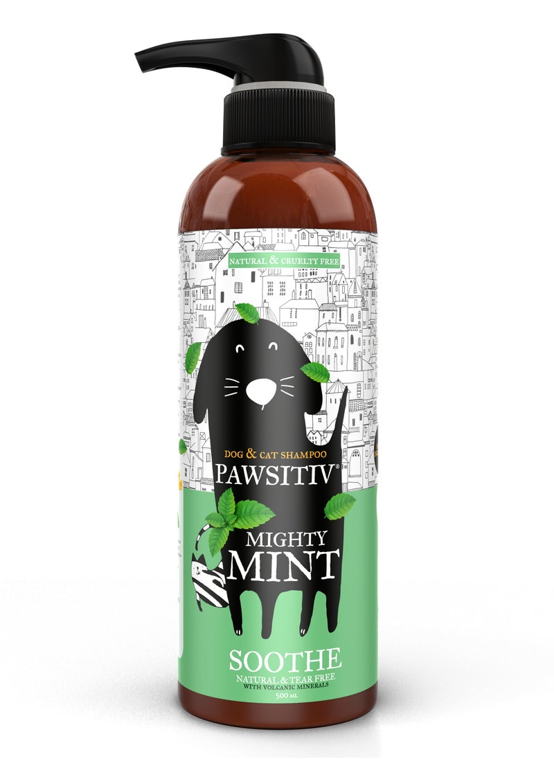 Pawsitiv Pawsitiv Natural and Tearless Mint with Calendula Soothing Pet Shampoo for Dry and Itchy Skin, For Dogs, Cats, Puppies and Kittens, SOOTHE, 500ML  - Image 1