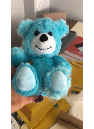 Cute Little Bear 15 cm Sleeping Companion - pzsku/ZC9DF8E1807E38178AFA6Z/45/_/1725722438/fe7db389-ff31-419b-a328-c01561ed2418