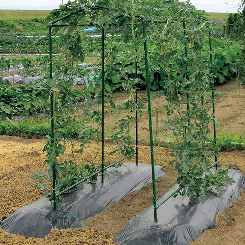 Xiny Tool Garden Stakes, 25 Pack 4 Ft Steel Plant Garden Tomato Stakes with Plastic Coat for Climbing Plants (25 Pack 48 Inch) - Image 4