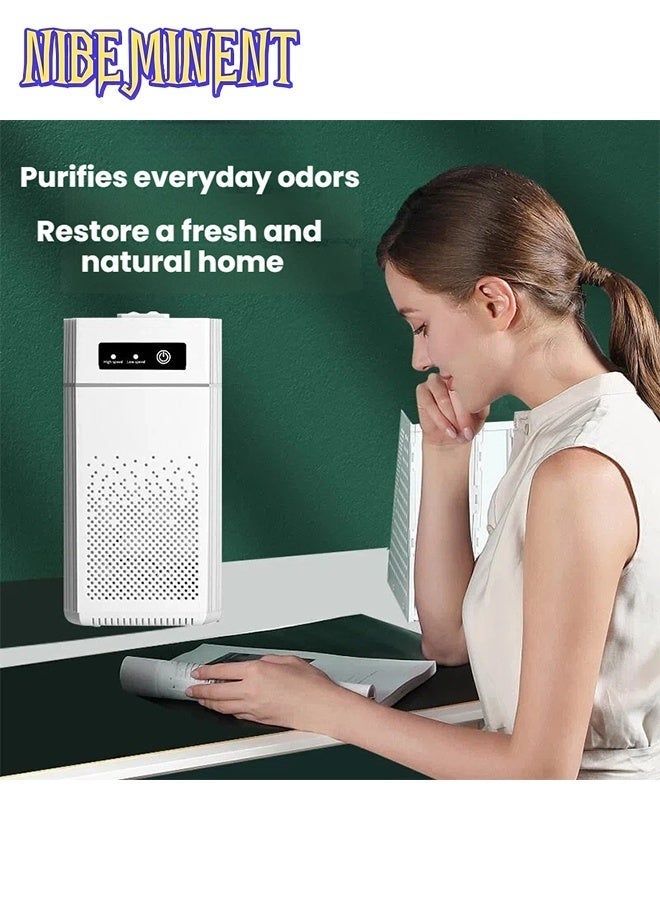 NIBEMINENT Air Purifiers for Bedroom HEPA Air Purifier With Aromatherapy Function For Pet Smoke Pollen Dander Hair 20dB Air Cleaner For Office Living Room/Kitchen - Image 2