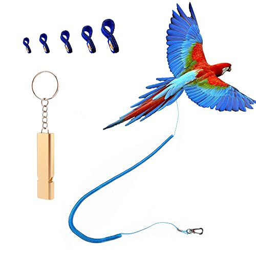 kcrygogo Parrot Bird Harness Leash Antibite Outdoor Blue Flying Training Rope with 5pcs Different Sizes of Soft Foot Loops and Training WhistleUpgraded Version of Ankle Ring - Image 1