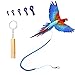 kcrygogo Parrot Bird Harness Leash Antibite Outdoor Blue Flying Training Rope with 5pcs Different Sizes of Soft Foot Loops and Training WhistleUpgraded Version of Ankle Ring - Image 3