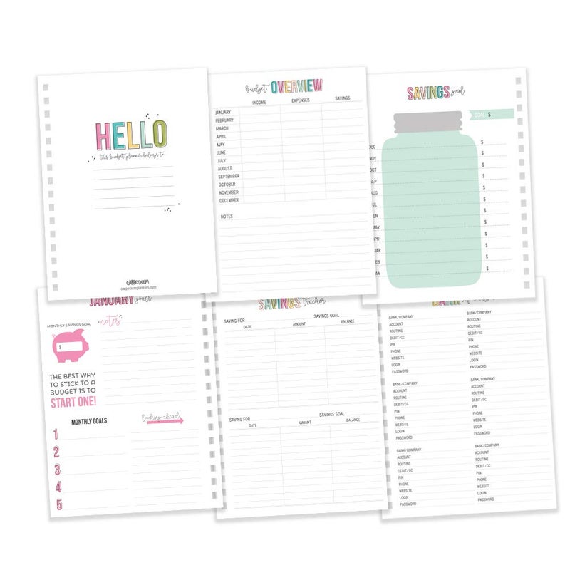 Pukka Pad, Carpe Diem Budget Planner Spiral Bound Notebook with 12 Month Calendar, Dividers, Inserts, and Sticker Sheets â€“ Features Savings Goals & Tracker, Financial Overview, and Bank Information - Image 5