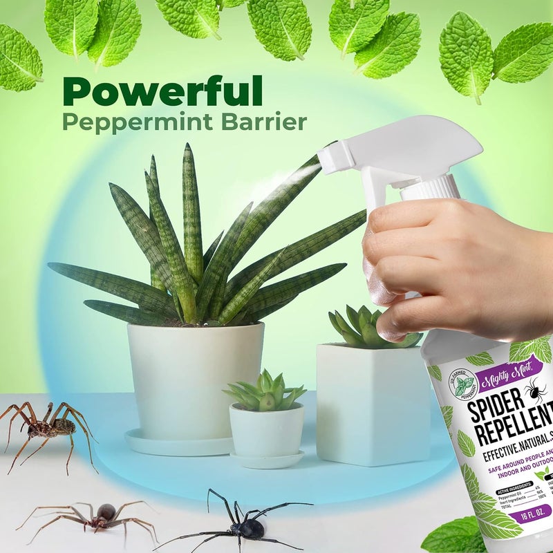 Mighty Mint Peppermint Oil Spider Repellent Spray – Natural Indoor & Outdoor Bug Control for Spiders and Insects – Plant-Based, Extra-Strong Formula - 16 oz - Image 1