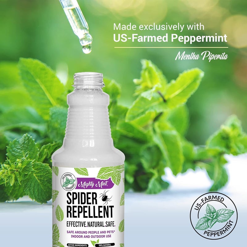 Mighty Mint Peppermint Oil Spider Repellent Spray – Natural Indoor & Outdoor Bug Control for Spiders and Insects – Plant-Based, Extra-Strong Formula - 16 oz - Image 3