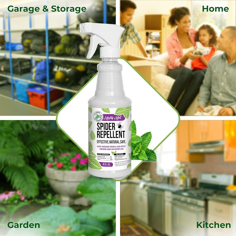 Mighty Mint Peppermint Oil Spider Repellent Spray – Natural Indoor & Outdoor Bug Control for Spiders and Insects – Plant-Based, Extra-Strong Formula - 16 oz - Image 5