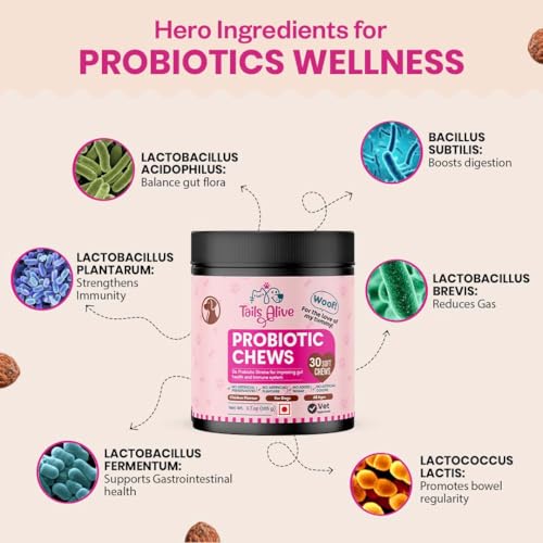 TailsAlive Probiotic Soft Chews Supplement for Dogs | Six Probiotic Strains for Gut Health & Digestion | Chicken Flavor | Supports Immune Function | 30 Soft Chews - Image 5