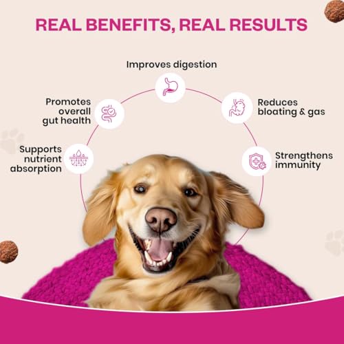 TailsAlive Probiotic Soft Chews Supplement for Dogs | Six Probiotic Strains for Gut Health & Digestion | Chicken Flavor | Supports Immune Function | 30 Soft Chews - Image 4