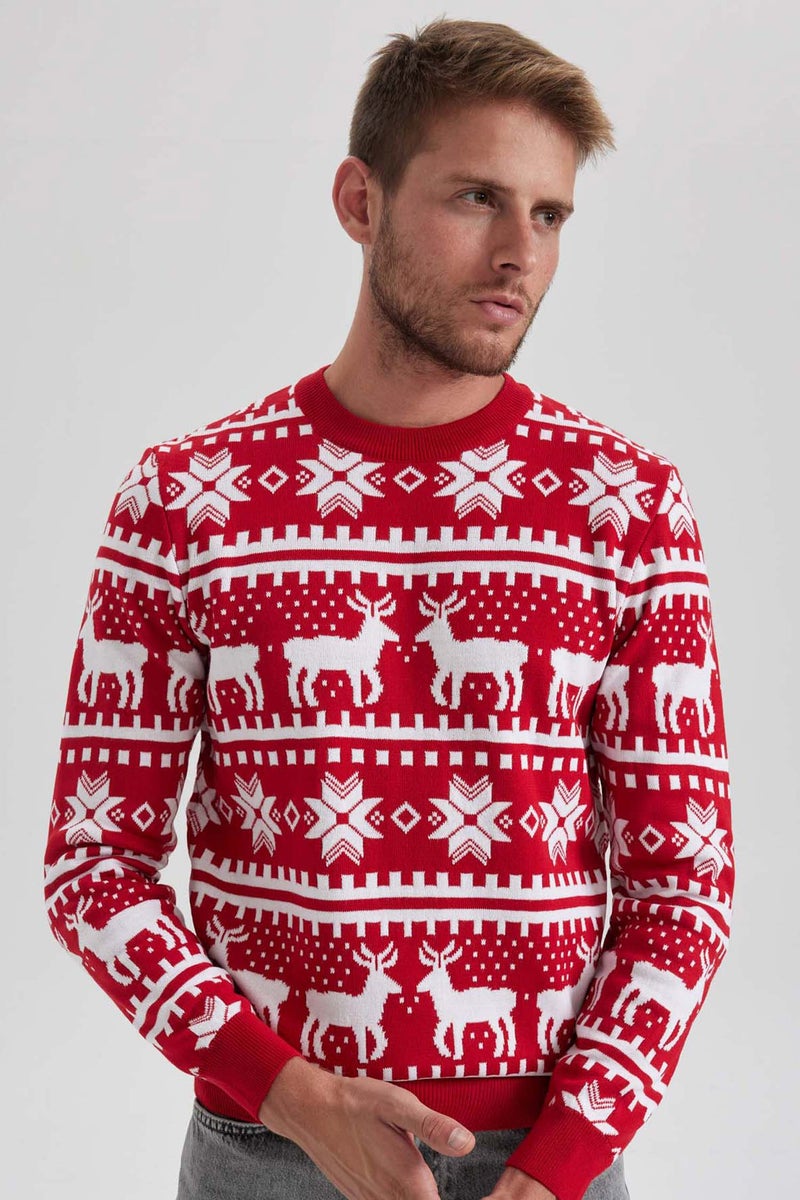 DeFacto Man New Year Themed Standard Fit Crew Neck Knitted Pullover  - Image 1