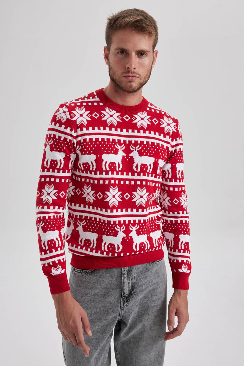 DeFacto Man New Year Themed Standard Fit Crew Neck Knitted Pullover  - Image 2