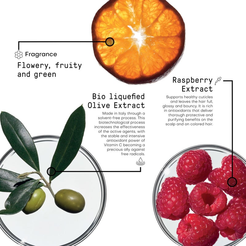 FRAMESI Morphosis Color Protect Shampoo 8.4 fl oz - Image 4