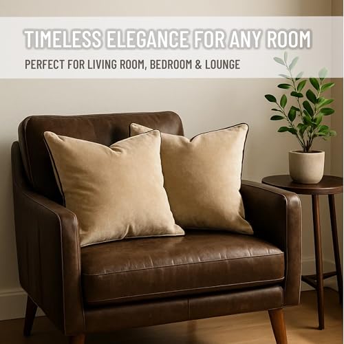 Blau Marité 2 Pack Velvet Decorative Throw Pillow Covers, 18"x18", Beige and Brown, Solid, Modern, Contrast Piping, Indoor Use, Bedroom & Living Room - Image 3