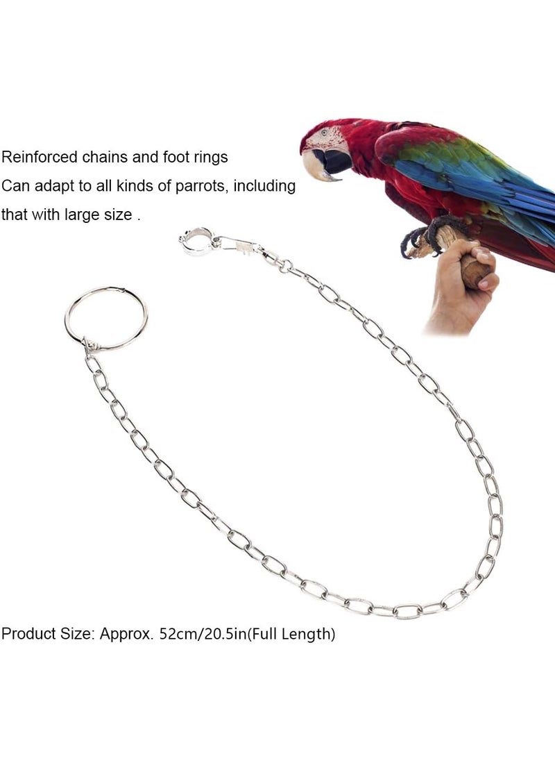 Rehomy Rehomy Parrot Foot Chain Stainless Steel Antibite Flying Training Anklet Ring Bird Harness for Parrots Macaw African Greys Parakeet Cockatoo Cockatiel Conure Lovebird  - Image 3