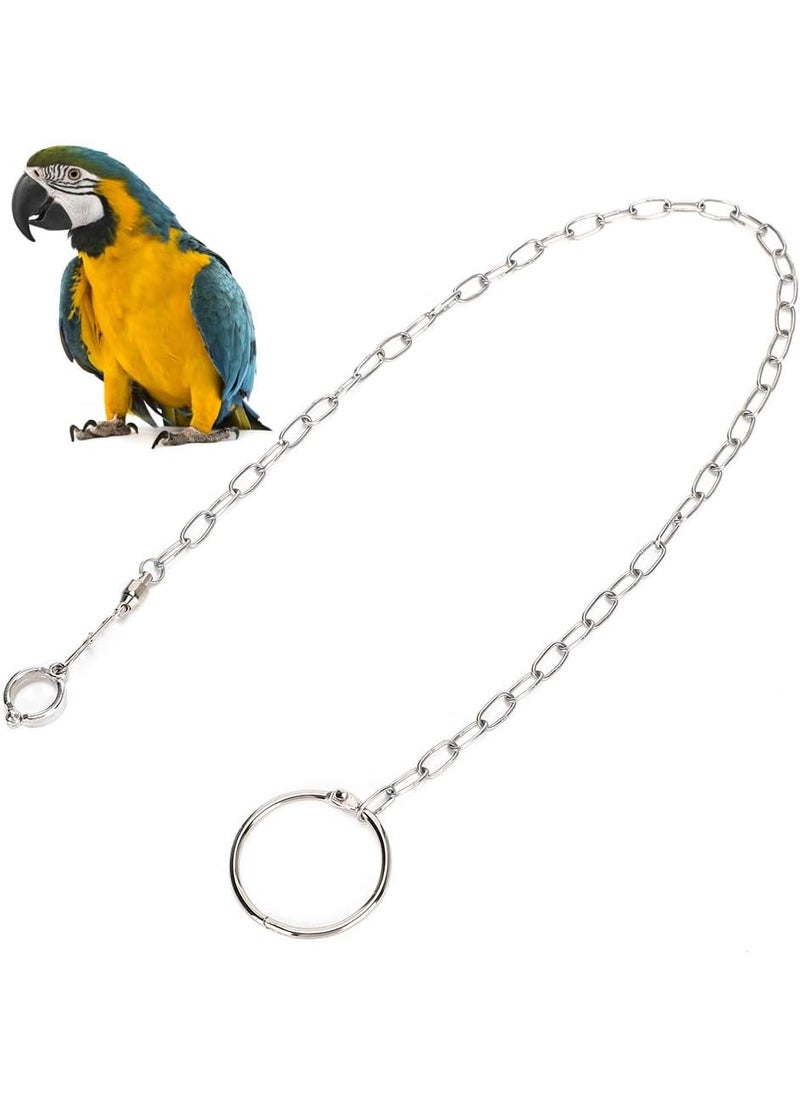Rehomy Rehomy Parrot Foot Chain Stainless Steel Antibite Flying Training Anklet Ring Bird Harness for Parrots Macaw African Greys Parakeet Cockatoo Cockatiel Conure Lovebird  - Image 1