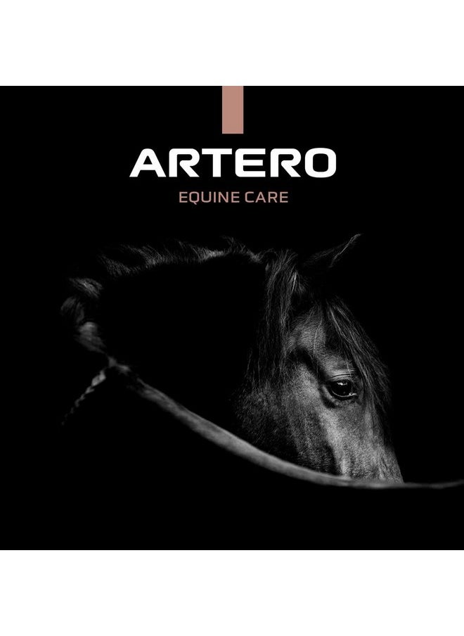 ARTERO Artero horse brush. horse mane and tail brush. mane and tail brush made of elegant and resistant bamboo. horse grooming supplies  - Image 3