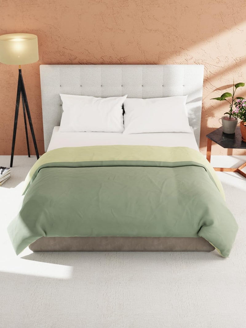 KOPA KOPA by Bianca Ultra Soft Microfiber Reversible Comforter for All Weather -1pc Double (cottslove) Reversible-Olive/sage  - Image 1