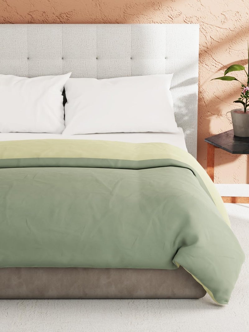 KOPA KOPA by Bianca Ultra Soft Microfiber Reversible Comforter for All Weather -1pc Double (cottslove) Reversible-Olive/sage  - Image 2
