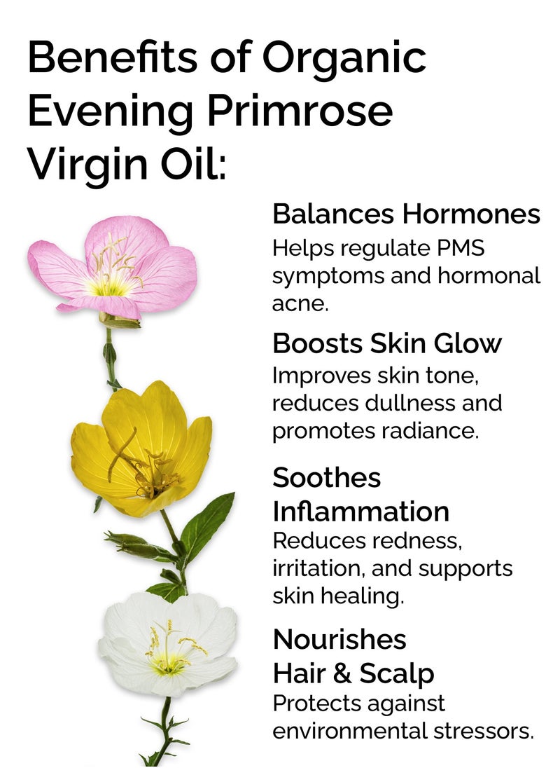 MARJAN ORGANIC Evening Primrose Oil 10ml - 100% Organic cold pressed - 100% Pure, Virgin, Unrefined & chemical-free - Perfect Oil Control Face Moisturizer - For Dry hair, Brittle hair, Mature skin, Sensitive skin  - Image 4