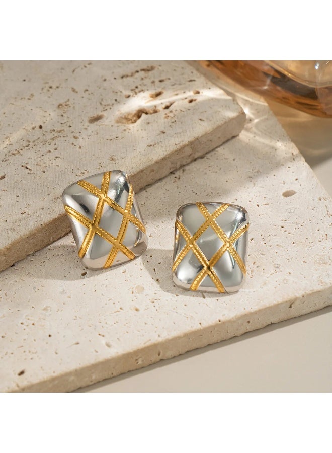 The Black Pearl Accessories Two Tone Golden Silver Stainless Steel Earring - Image 2