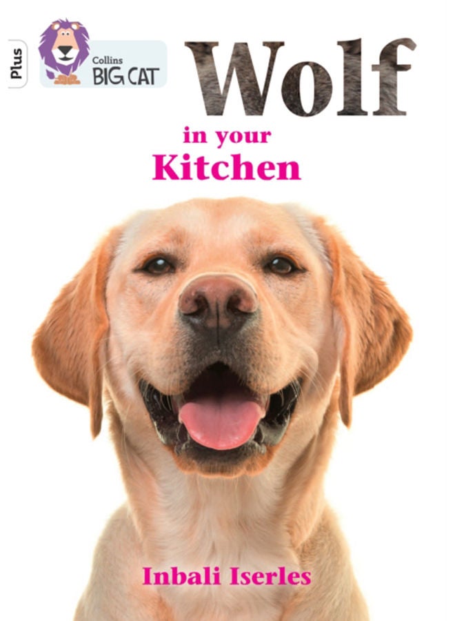 Wolf in your kitchen : Band 10+/White Plus 