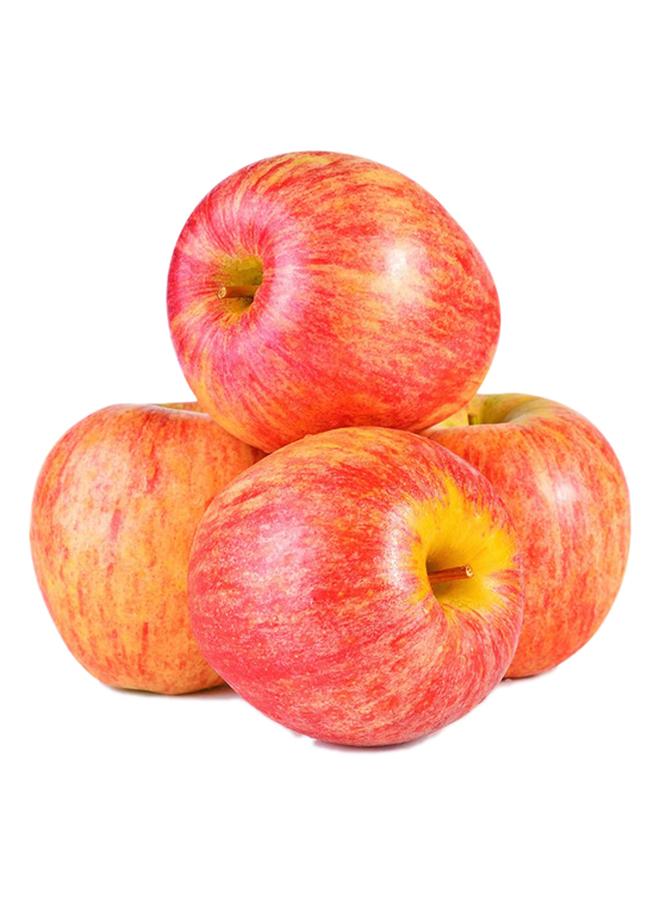 Royal Gala Apple