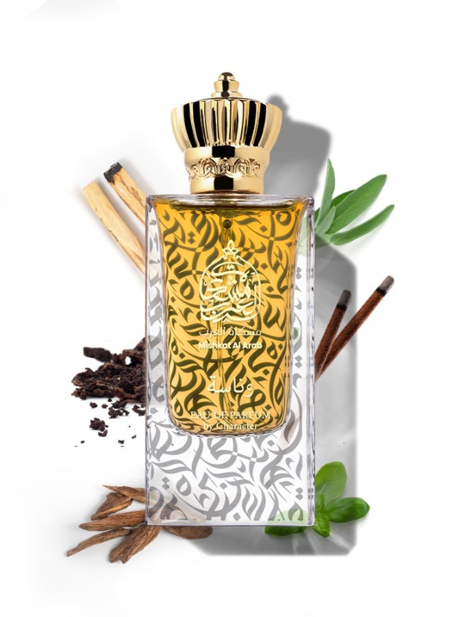 Character Mishkat Al Arab Wanasa - Image 2