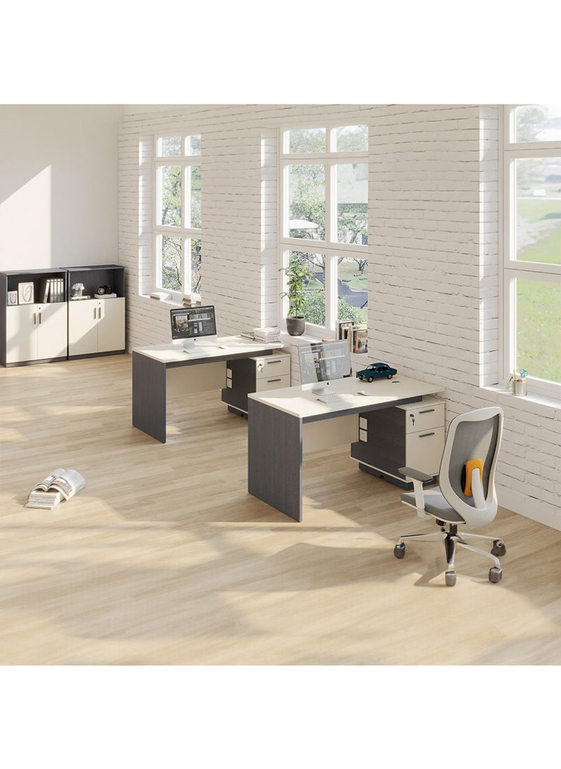 DANUBE HOME Skive Office Desk With Drawer & Storage - Grey  - Image 4