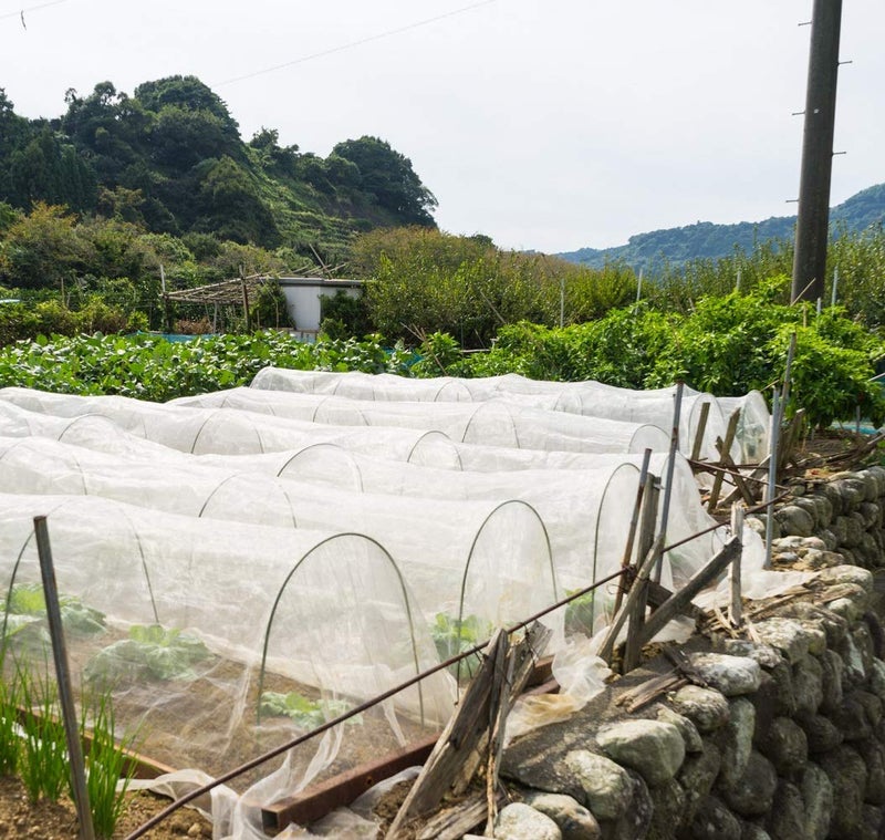 Garden Tailor Garden Netting Pest Barrier: 8'x10' Fine Bug Netting for Garden Protection Row Cover Raised Bed Screen Mesh Greenhouse Mosquito Net, Protecting Tree Plants Vegetable Flowers Fruits - Image 4