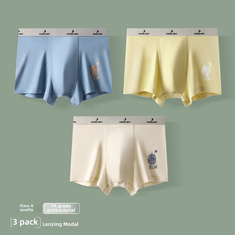 Youth Modal Antibacterial Boxer Briefs 12+ Bear Paradise MDEPJ732 