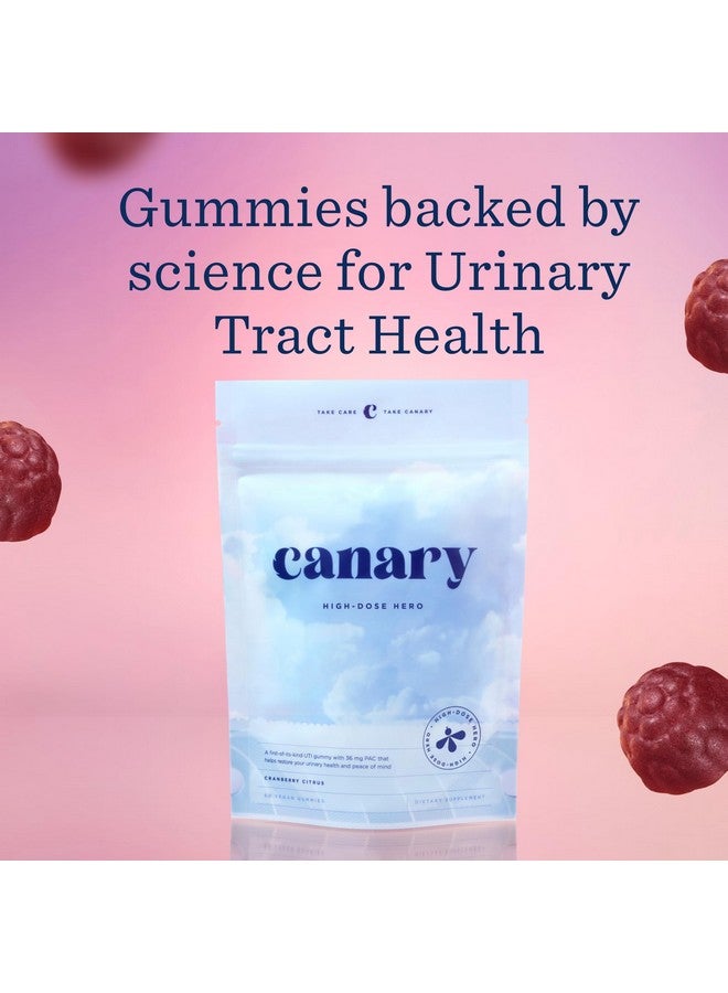 Canary High-Dose Hero for Women - Urinary Tract Health Gummies Dietary Supplement, Helps Cleanse & Protect, Delicious Natural Cranberry Flavor, 60 Gummies - Image 4