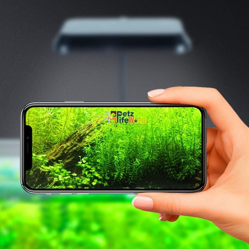 VAYINATO Nemo E-400 | 8 Watts Multi Mode RGB,White and Blue Clip On Aquarium LED Light Suitable for Upto 2 Feet Tank - Image 2