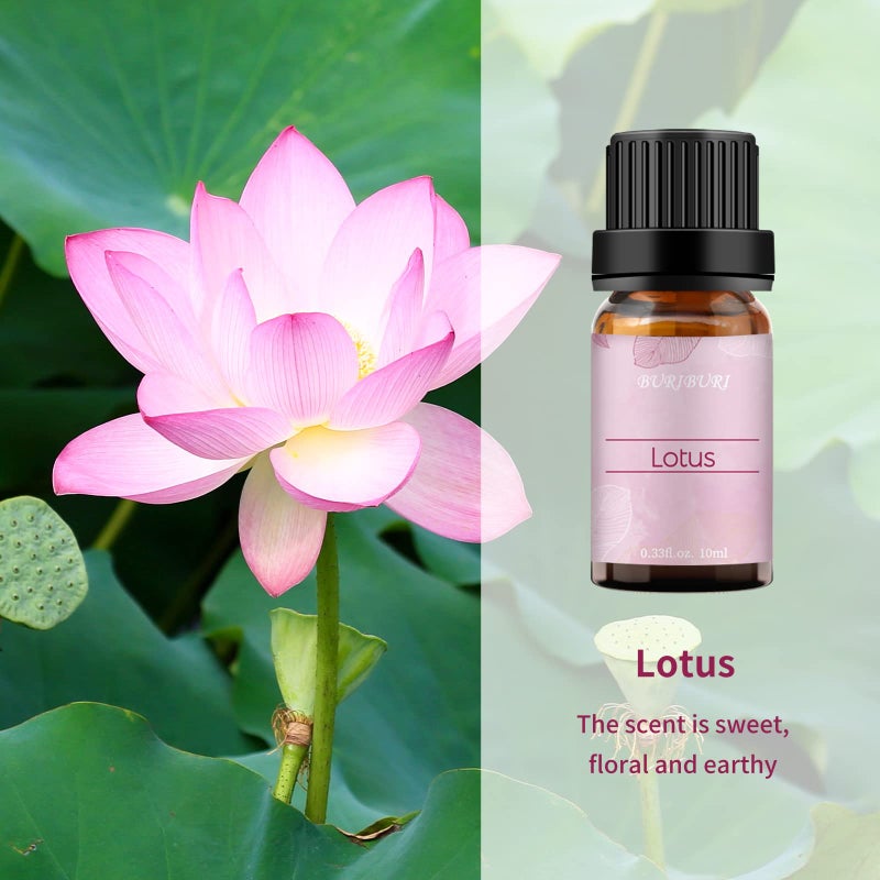 BURIBURI Lotus Essential Oil 100% Pure, Undiluted, Natural, Organic Aromatherapy Lotus Oils 10ML for Diffuser Soap Candle Making Home - Image 2