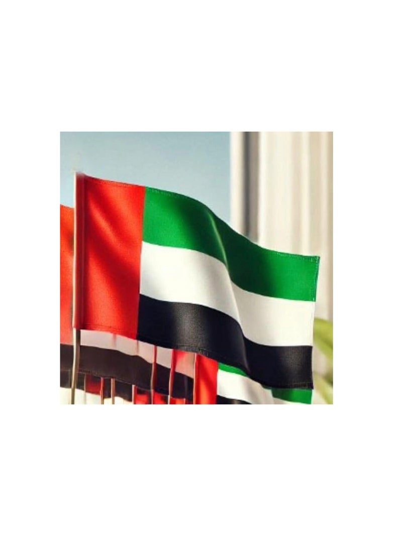 بوكسوودس 3 قطع من أعلام الإمارات العربية المتحدة أكثر سمكًا وأكثر متانة للاحتفال باليوم الوطني الإماراتي - Image 5