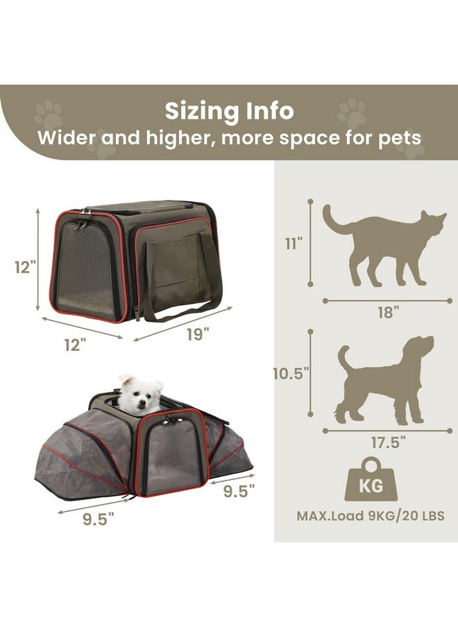 Petsfit Petsfit 2 Side Expandable Pet Carrier Dog Carrier Cat Carrier for 2 Cats, 19" Lx 12" Wx 12" H, with Soft Cushion, Built-in Safety Rope, Pockets, Fit for Car Travel  - Image 2
