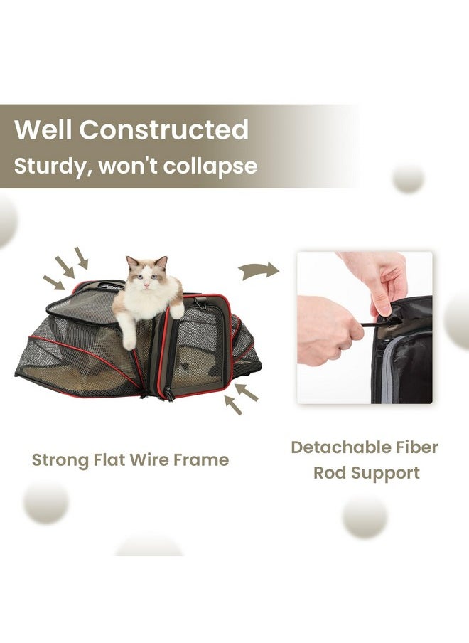 Petsfit Petsfit 2 Side Expandable Pet Carrier Dog Carrier Cat Carrier for 2 Cats, 19" Lx 12" Wx 12" H, with Soft Cushion, Built-in Safety Rope, Pockets, Fit for Car Travel  - Image 4