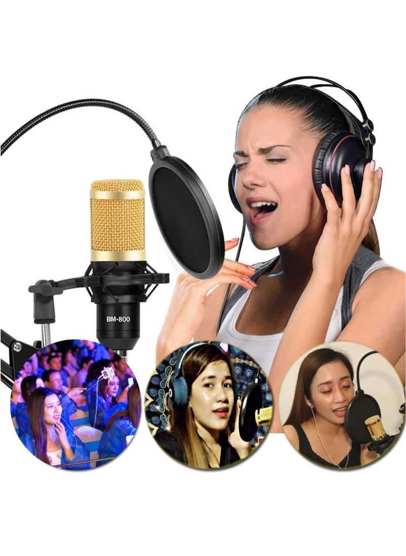 V8s Set Live Sound Card,USB External V8s Karaoke Recording Mobile Audio Mixer,Audio Live Broadcast KTV Sound Card for Live Broadcast,K Songs,Recording,Voice Chatting