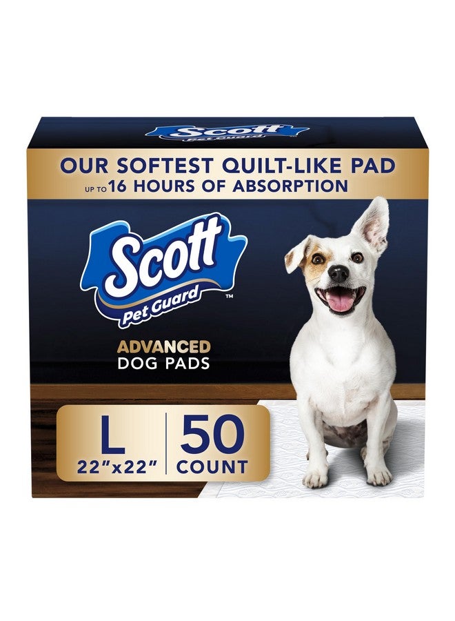 سكوت وسادات سكوت بيت جارد المتقدمة للكلاب - وسادات تدريب الكلاب على التبول للجراء والكلاب المتوسطة والكبيرة - امتصاص حتى 16 ساعة مع التحكم في الرائحة - وسادات تبول مبطنة ناعمة للكلاب - كبيرة - 22 بوصة × 22 بوصة - عبوة من 50 قطعة - Image 1