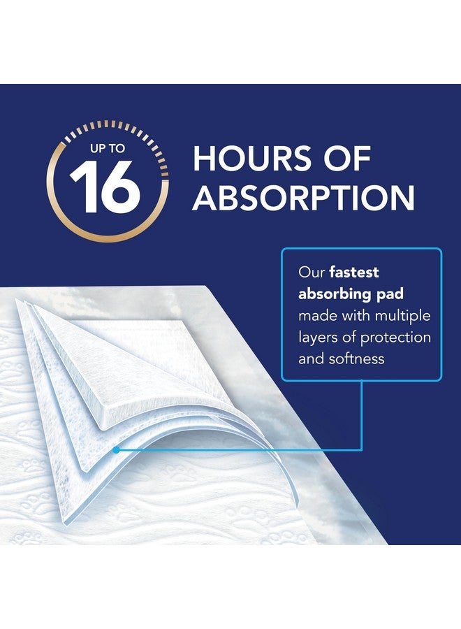 سكوت وسادات سكوت بيت جارد المتقدمة للكلاب - وسادات تدريب الكلاب على التبول للجراء والكلاب المتوسطة والكبيرة - امتصاص حتى 16 ساعة مع التحكم في الرائحة - وسادات تبول مبطنة ناعمة للكلاب - كبيرة - 22 بوصة × 22 بوصة - عبوة من 50 قطعة - Image 5