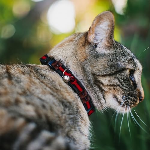 Buckle Down Cat Collar Breakaway Deadpool Utility Belt Logo Pockets Black Reds Browns 8 to 12 Inches 05 Inch Wide - Image 3