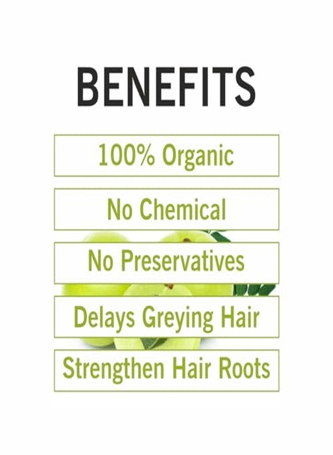 TQS 100% Natural & Organic Amla Powder for Hair and Skin Care, 100g - Image 4