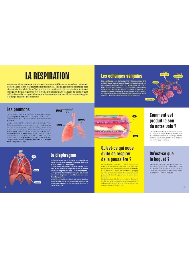 Le Corps humain - Mille et un docs: Inclus : un poster recto verso ! - Image 4