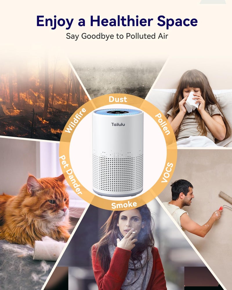 Tailulu Air Purifiers for Bedroom Home Pets 1200 FtÂ², Tailulu H13 True HEPA Air Filter Portable Air Purifier with 12dB Sleep Mode, Speed Control, Timer, Quiet Air Cleaner For Odor Dust Smoke Pollen AP050 - Image 4