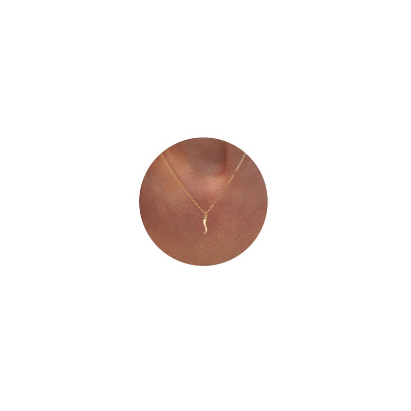 VRIUA Gold Necklace for Women 14k Gold Plated Dainty ltalian Horn Necklace Simple Delicate Jewelry Everyday for Women - Image 1