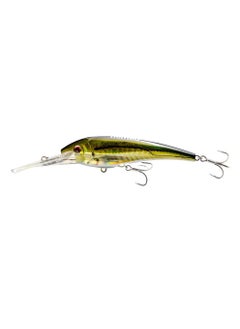 Olive Back Shad