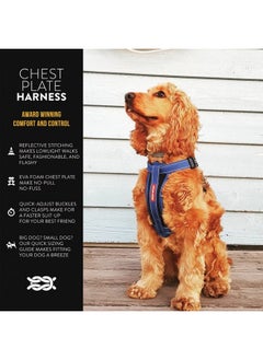 EzyDog Premium Chest Plate Custom Fit Reflective No-Pull Padded Comfort Dog Harness - Perfect for Training, Walking, and Control - Includes Car Restraint Attachment (Small, Blue) - pzsku/ZC9FA51205983A12D75D6Z/45/_/1737031460/f5005e09-b074-48a0-91d8-5a12e4260d95