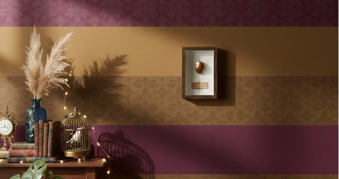 إطار عينة صدف طبيعي – صدفة كوري بنية منقطة أصلية مع شهادة | إطار خشبي فاخر | 12.5 × 17.5 سم - Image 2