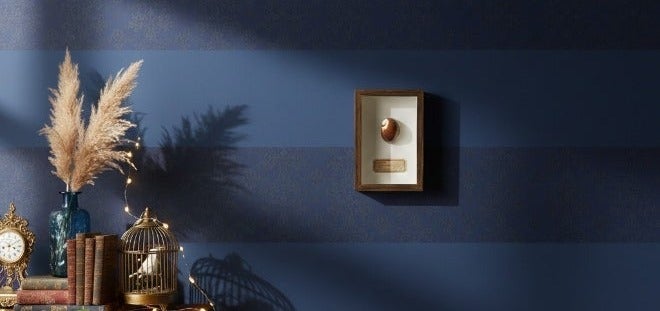 إطار عينة صدف طبيعي – صدفة كوري بنية منقطة أصلية مع شهادة | إطار خشبي فاخر | 12.5 × 17.5 سم - Image 4