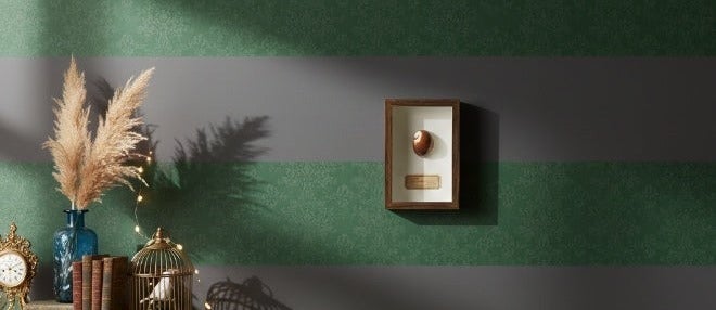 إطار عينة صدف طبيعي – صدفة كوري بنية منقطة أصلية مع شهادة | إطار خشبي فاخر | 12.5 × 17.5 سم - Image 3