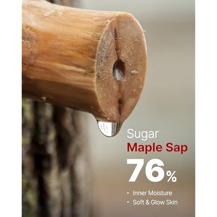 MAY COOP Moisture Essence Toner – Korean Hydrating & Nourishing Skincare for Dry Sensitive Skin with Wildcrafted Centella Asiatica, Rice Water & Birch Bark – Fast-Absorbing Texture – 5.07 fl. oz. - Image 3